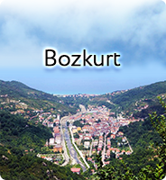 Bozkurt
