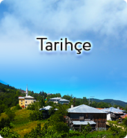 Tarihçe